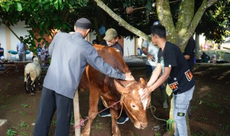 Fikom Unpad Berqurban, Salurkan Daging Qurban untuk Sivitas Akademika dan Warga Sekitar